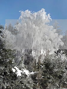 逾期2次还能贷款买房吗 逾期2次还能贷款买房吗