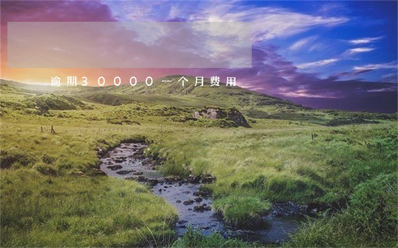逾期30000一个月费用 逾期30000一个月费用