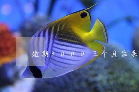 逾期3000三个月后果严重吗 逾期3000三个月后果严重吗