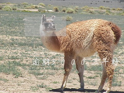 逾期3000三年好多钱 逾期3000三年好多钱