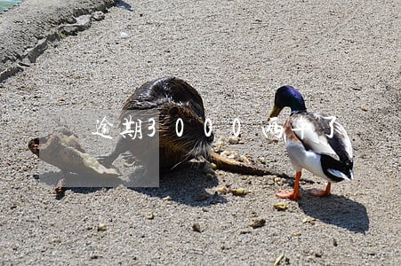 逾期3000两年了 逾期3000两年了