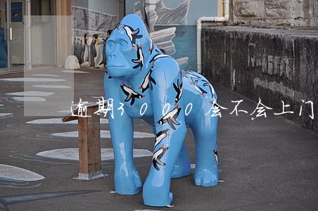 逾期3000会不会上门 逾期3000会不会上门