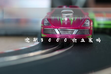逾期3000会立案吗 逾期3000会立案吗