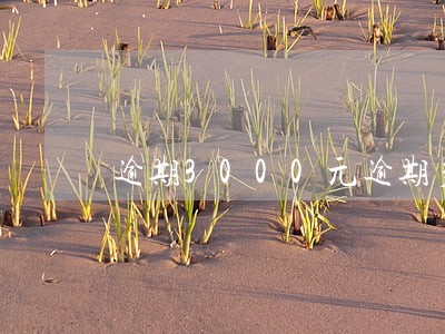 逾期3000元逾期多久会上征信 逾期3000元逾期多久会上征信