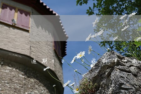 逾期3000收到律师函怎么办 逾期3000收到律师函怎么办