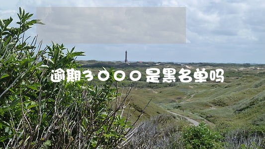 逾期3000是黑名单吗 逾期3000是黑名单吗
