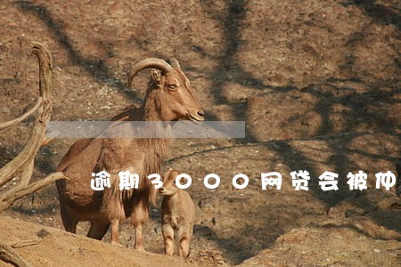 逾期3000网贷会被仲裁吗 逾期3000网贷会被仲裁吗