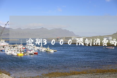 逾期3000限制消费吗 逾期3000限制消费吗