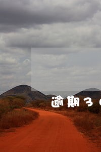 逾期3000飞剑问道 逾期3000飞剑问道