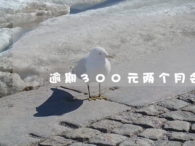 逾期300元两个月会联系我吗 逾期300元两个月会联系我吗