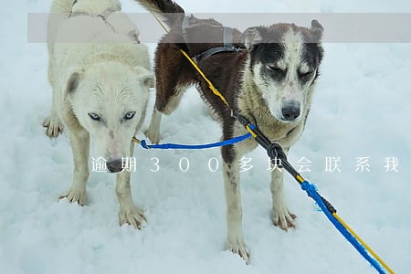逾期300多块会联系我吗 逾期300多块会联系我吗