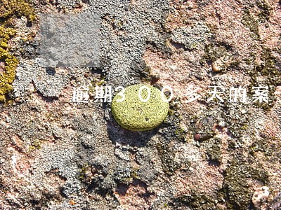 逾期300多天的案子好催收吗 逾期300多天的案子好催收吗
