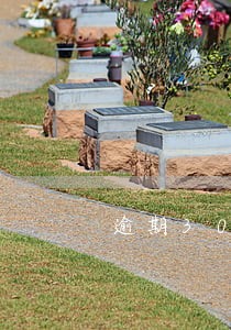 逾期300天会怎么样 逾期300天会怎么样