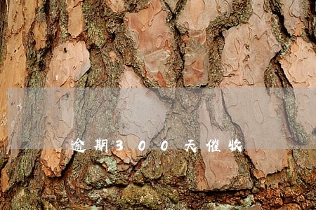 逾期300天催收 逾期300天催收
