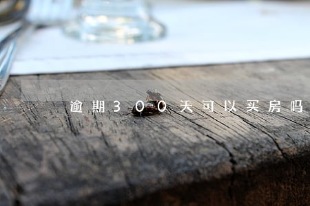逾期300天可以买房吗 逾期300天可以买房吗