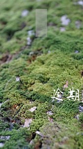逾期300天后果 逾期300天后果