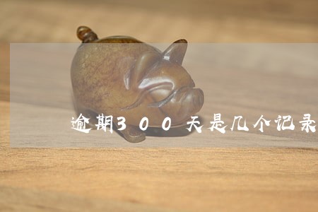 逾期300天是几个记录 逾期300天是几个记录