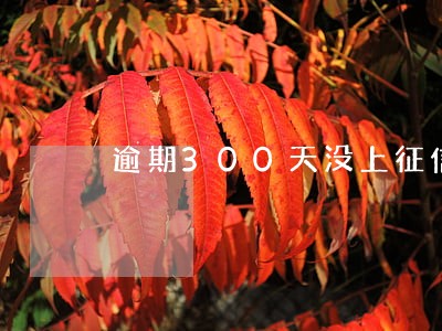 逾期300天没上征信还会上吗