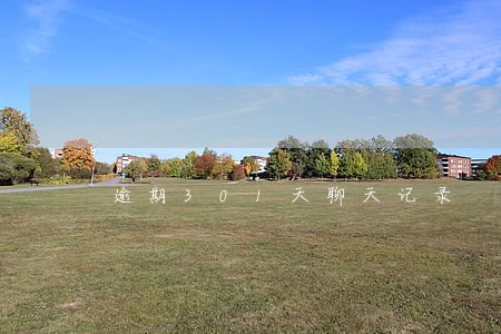 逾期301天聊天记录 逾期301天聊天记录