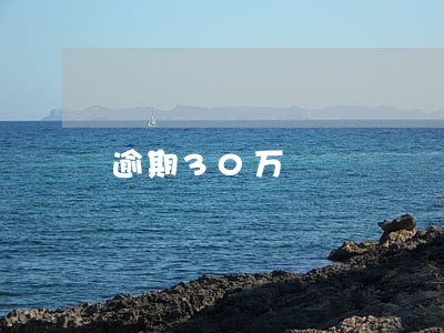 逾期30万 逾期30万