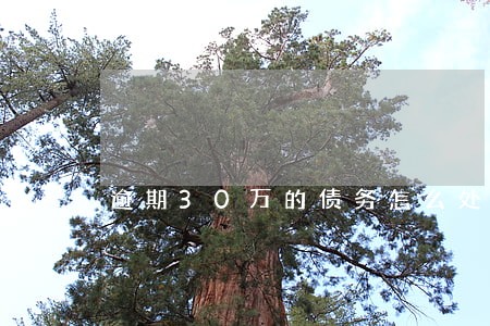 逾期30万的债务怎么处理 逾期30万的债务怎么处理