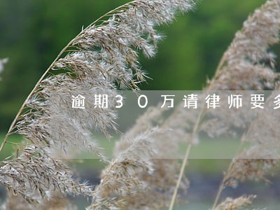 逾期30万请律师要多少钱 逾期30万请律师要多少钱