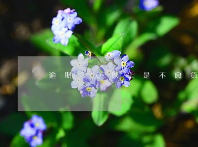 逾期30以上是不良贷款吗 逾期30以上是不良贷款吗