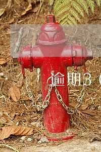 逾期30几个口子 逾期30几个口子