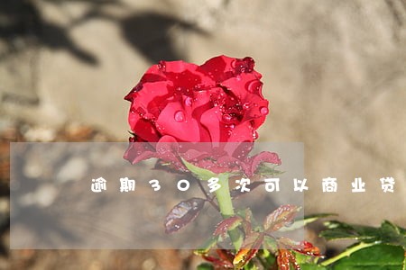 逾期30多次可以商业贷款吗 逾期30多次可以商业贷款吗