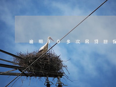 逾期30多次房贷担保 逾期30多次房贷担保