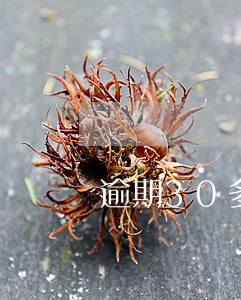 逾期30多次无提示 逾期30多次无提示