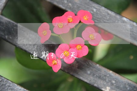逾期30天 逾期30天
