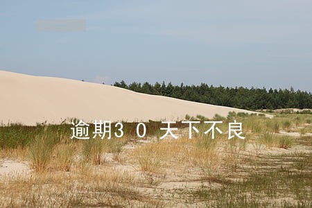 逾期30天下不良 逾期30天下不良