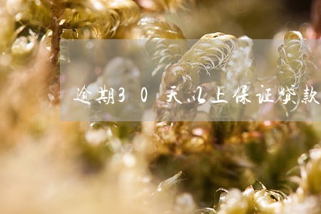 逾期30天以上保证贷款 逾期30天以上保证贷款