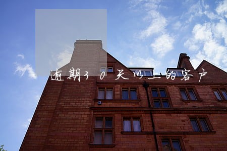 逾期30天以上的客户 逾期30天以上的客户