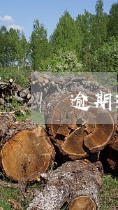 逾期30天会影响征信吗 逾期30天会影响征信吗