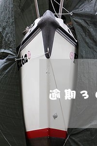 逾期30天会怎样 逾期30天会怎样