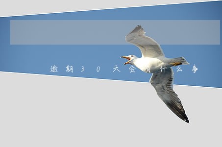 逾期30天会有什么事 逾期30天会有什么事
