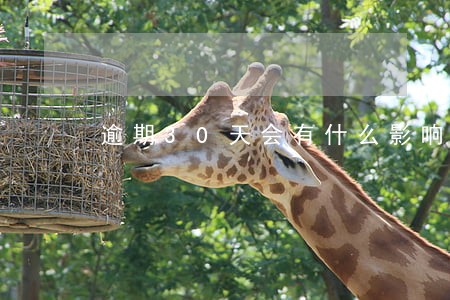逾期30天会有什么影响么 逾期30天会有什么影响么