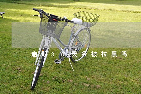 逾期30天会被拉黑吗
