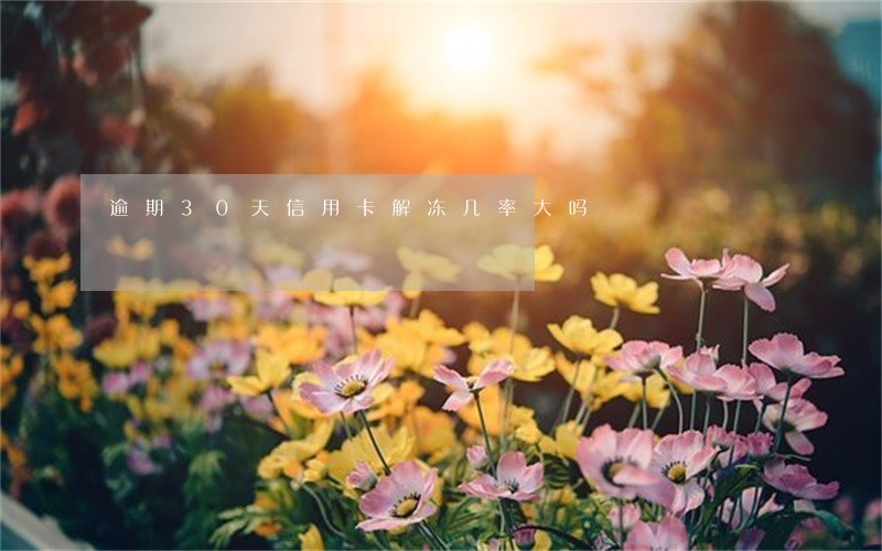逾期30天信用卡解冻几率大吗 逾期30天信用卡解冻几率大吗