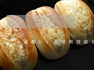 逾期30天信用贷款买房 逾期30天信用贷款买房