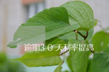 逾期30天利率提高 逾期30天利率提高