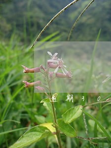 逾期30天合同未备案情况整改 逾期30天合同未备案情况整改