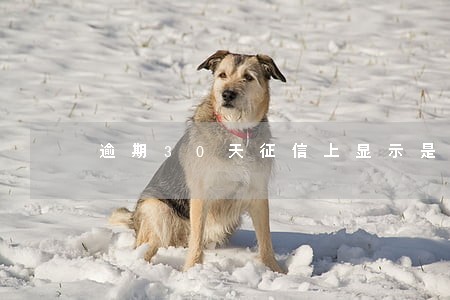 逾期30天征信上显示是几