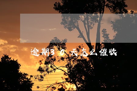 逾期30天怎么催收