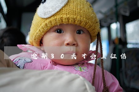 逾期30天才会上征信 逾期30天才会上征信