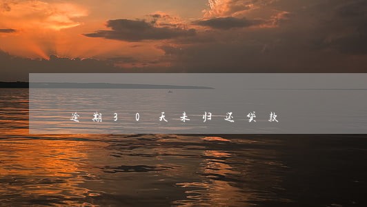 逾期30天未归还贷款 逾期30天未归还贷款