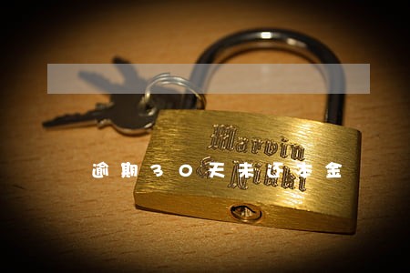 逾期30天未还本金 逾期30天未还本金