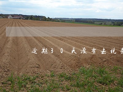逾期30天没有去税务登记 逾期30天没有去税务登记